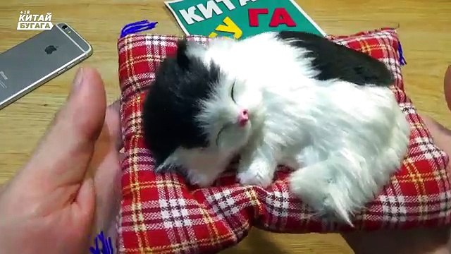 Я ПЛАЧУ: В ПОСЫЛКЕ КОТИК ИЗ КИТАЯ - САМАЯ НЯШНАЯ ПОСЫЛКА !