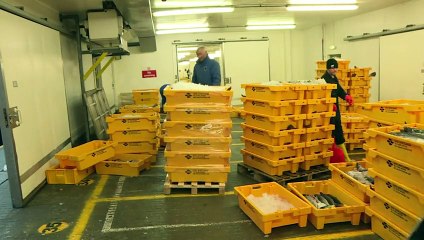 Aux Shetland, les pêcheurs espèrent renaître grâce au Brexit