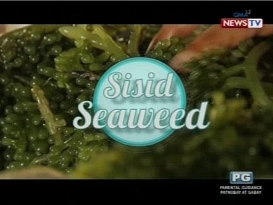 Good News: Seaweed Sarap
