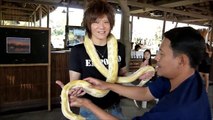Snake Tattoo Host,入墨のホストVS蛇,象,バンコク旅行,ホストクラブbangkok,Thai