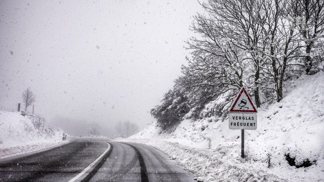 Sécurité routière : Ford part à la chasse aux nids-de-poule en Europe