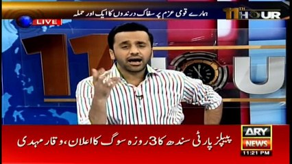 Shehla Raza's statement on Sehwan blast