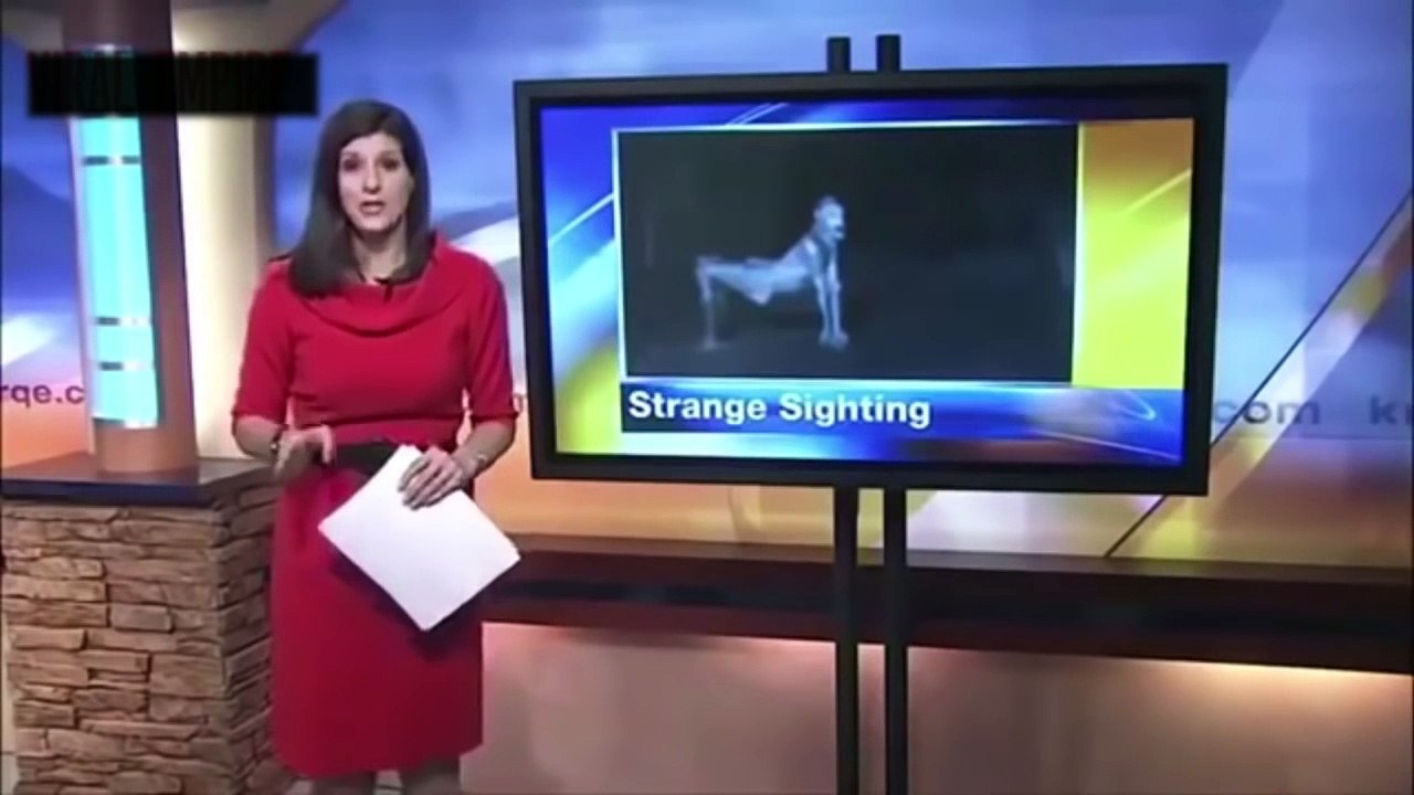 ( NEW )CRIATURAS ASSUSTADORAS Flagradas pelas Câmeras  Listopédia Sobrenatural