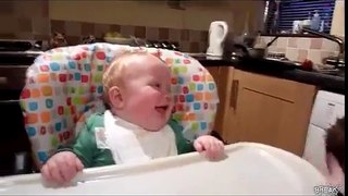 Puppies and Babies 2015 - Funny Dogs and Babies - Cute Dogs And Adorable Babies