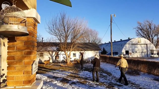 Un garde chasse vient tuer la biche que cette femme a apprivoisé... Cruel