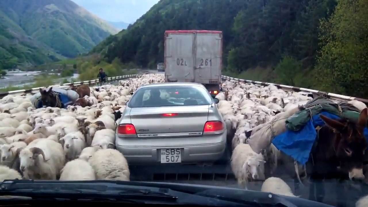 Même à la campagne t'es pas à l'abris de tomber dans les bouchons