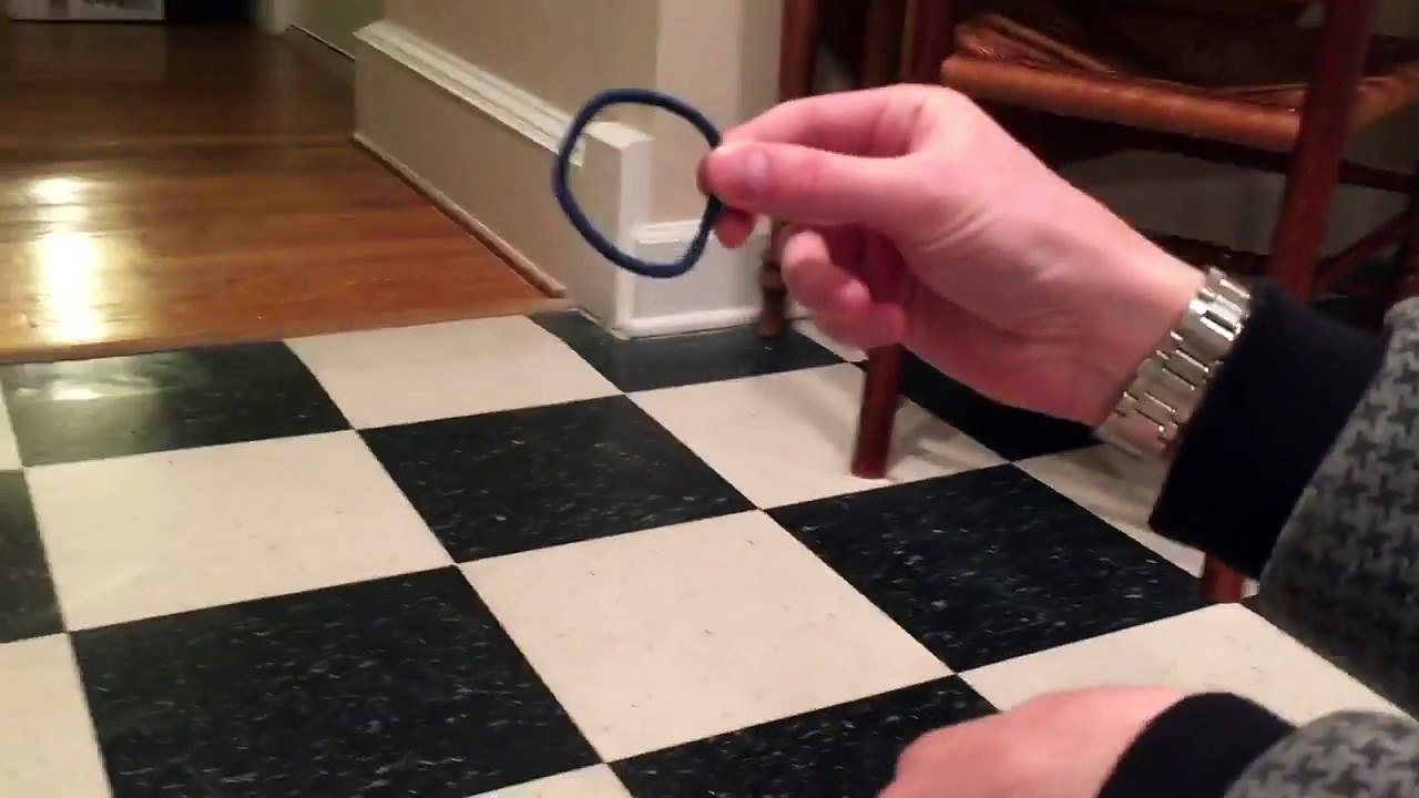 Ce chat ramène tout ce qu'on lui envoie... comme un chien !