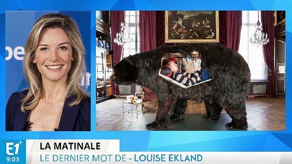 Abraham Poincheval, le drôle d'oiseau français