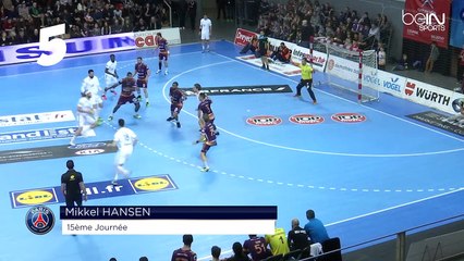 LIDL STARLIGUE 16-17 Top Buts J15