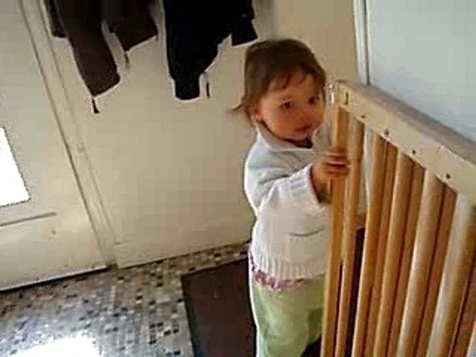cueillette des pommes