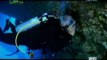 Born to be Wild: Doc Ferds Recio goes scuba diving in Palau's underwater caves