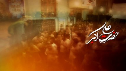 Bhaiya Tum Lout Kay | Noha 2016-17 | Syed Raza Abbas Zaidi