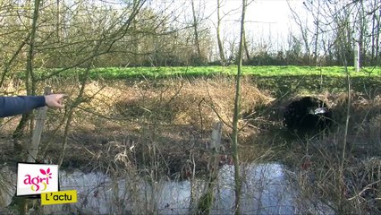 JT agri85 TV du vendredi 17 février 2017