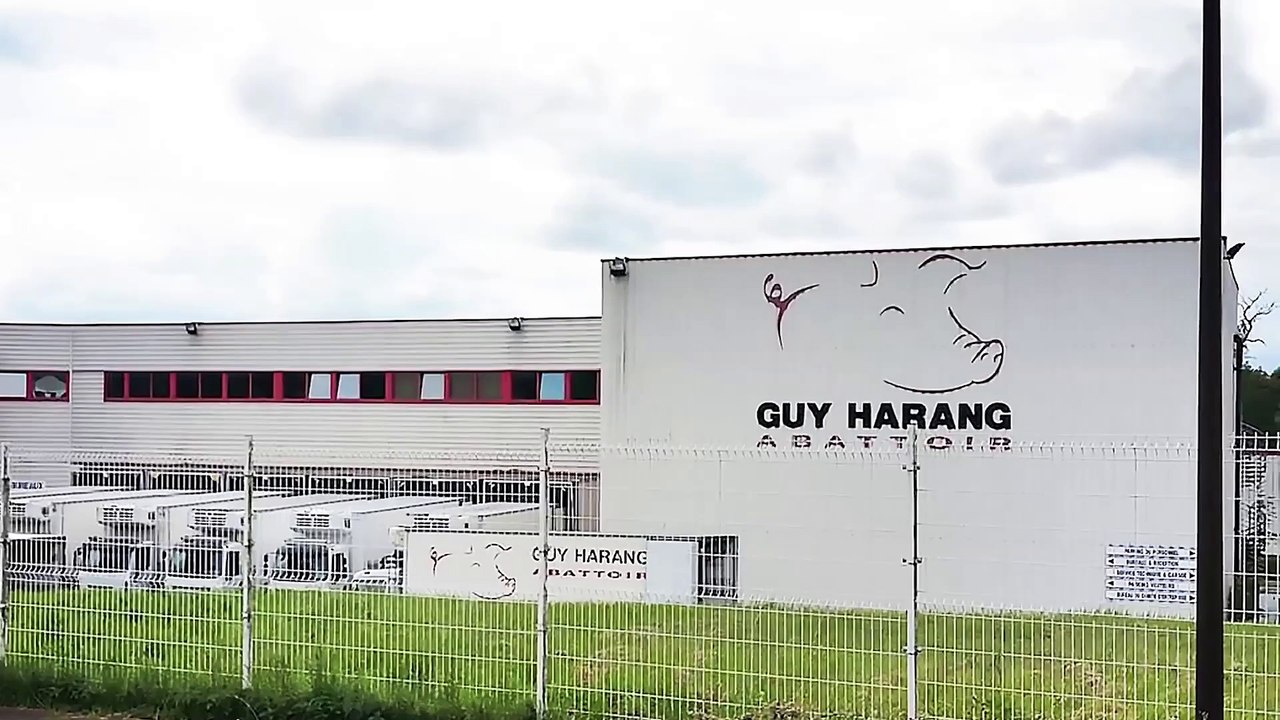 L'association L214 publie une vidéo d'un abattoir des Yvelines