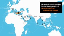 Undersea Cables - Orange