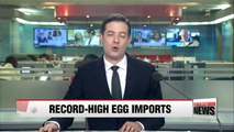 Korea imports record amount of fresh eggs and processed egg products