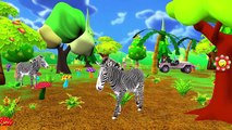 Tiger Lion Deer Elephant Pigeon Ducks And Different Animals Sounds for Children And Kids