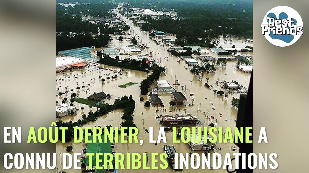 Cet homme a fait un acte héroïque en sauvant la vie d’un chien qui était en train de se noyer