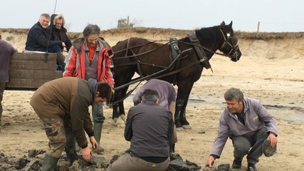 Un four à sel datant de l'âge de bronze découvert sur une plage