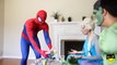 PREGNANT FROZEN ELSA vs SPIDERMAN - SPIDERBABY QUINTUPLETS w/ Pink Spidergirl Twins Funny