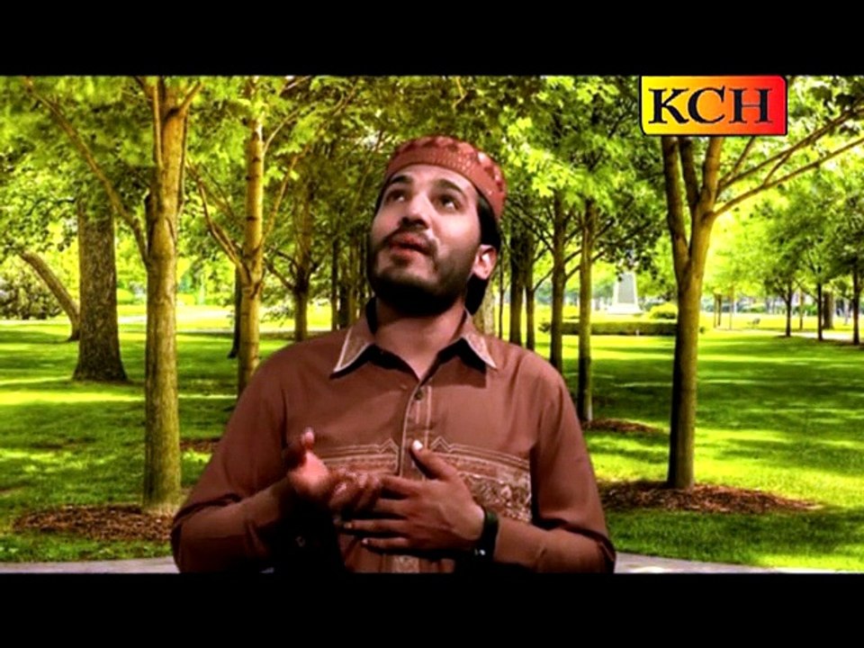 shahid Ali qadri