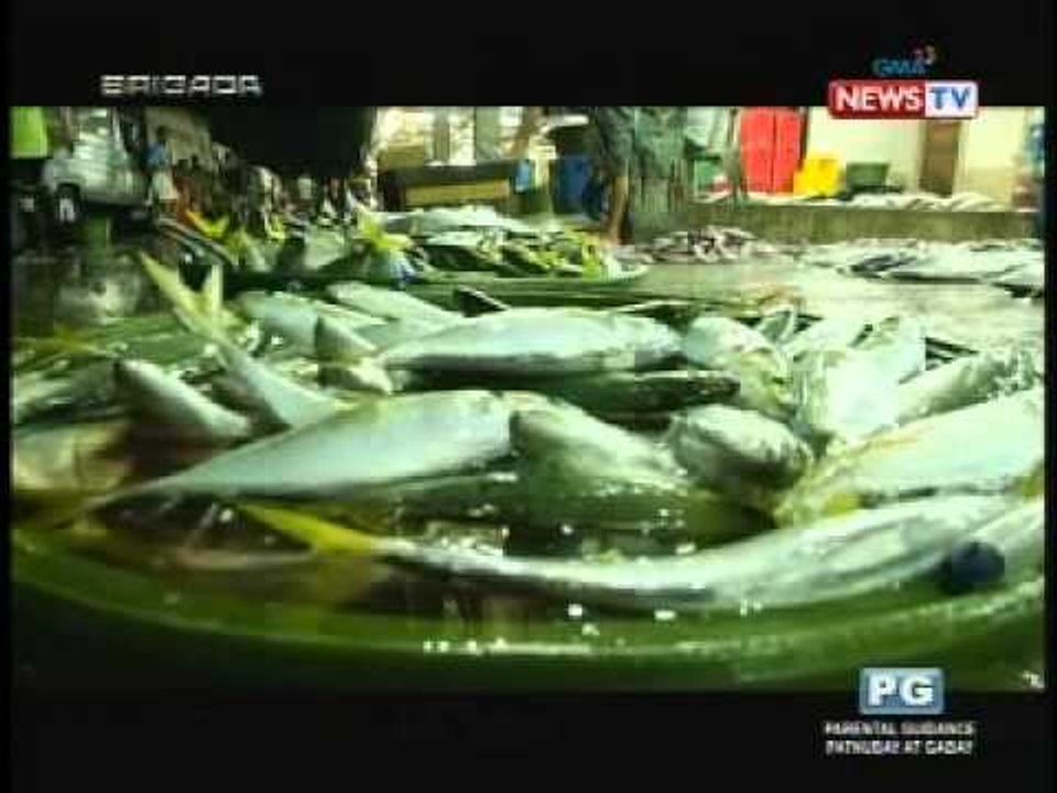 Philippines supplies global demand for shark fins despite dwindling shark numbers | Brigada