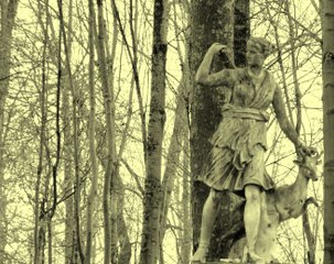 Le mystère de la dame blanche