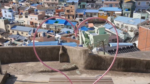 هذا الصباح-القرية الملونة بكوريا الجنوبية معرض مفتوح للفن