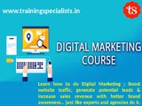 Digital Marketing Training Program in Delhi | Digital Hub