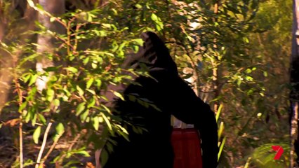 Home and away 6599 17th February 2017 Sneak Peak