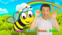 Bebé Bumble bee Canción | canciones infantiles para los Niños