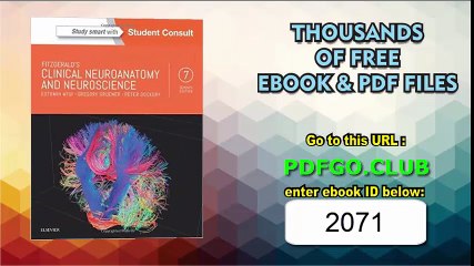 Fitzgerald's Clinical Neuroanatomy and Neuroscience, 7e by Estomih Mtui MD (2015-11-13