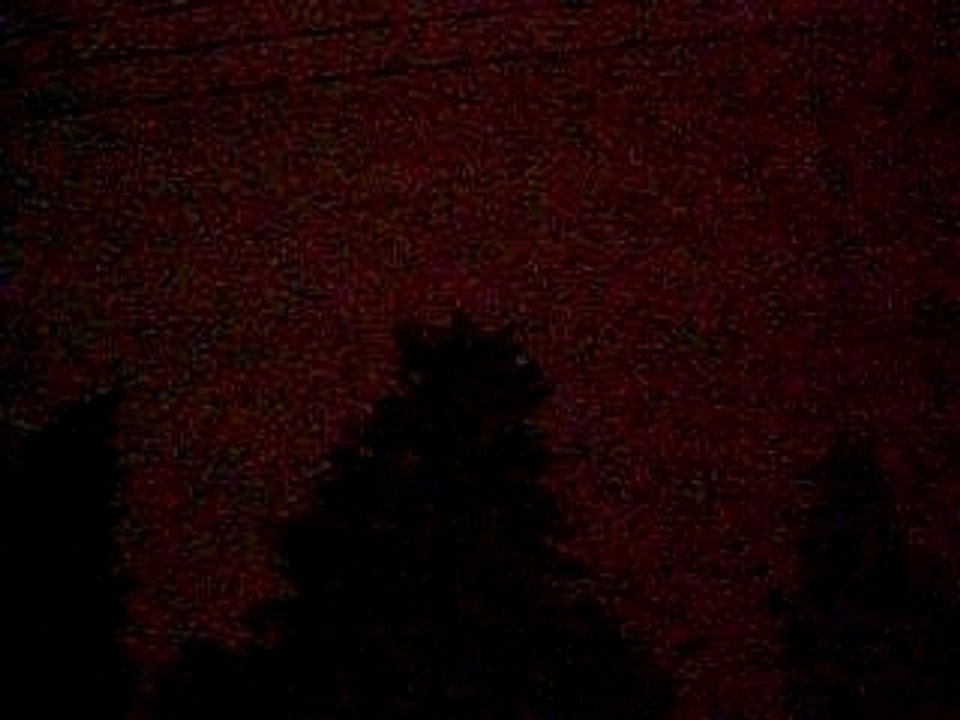 DSCN0334