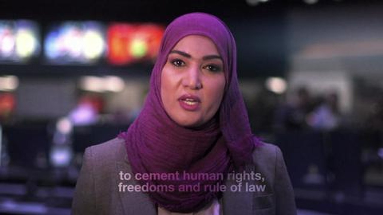 An invitation to support the International Declaration on the Protection of Journalists - promo