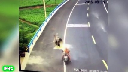 Ultimate Fails Compilation 2017 HAHAHA  (Part 2)