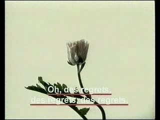 Alain Souchon - les regrets