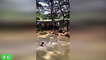 Ultimate Fails Compilation 2017 HAHAHA  (Part 8)