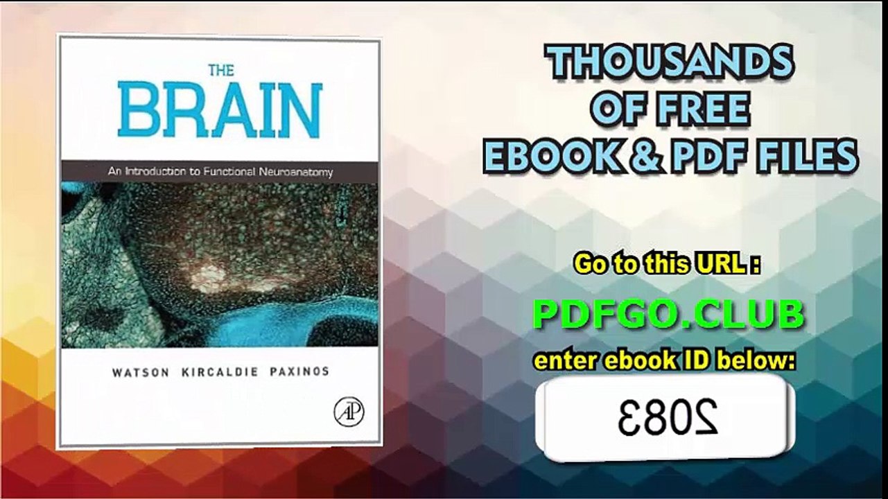 The Brain An Introduction to Functional Neuroanatomy