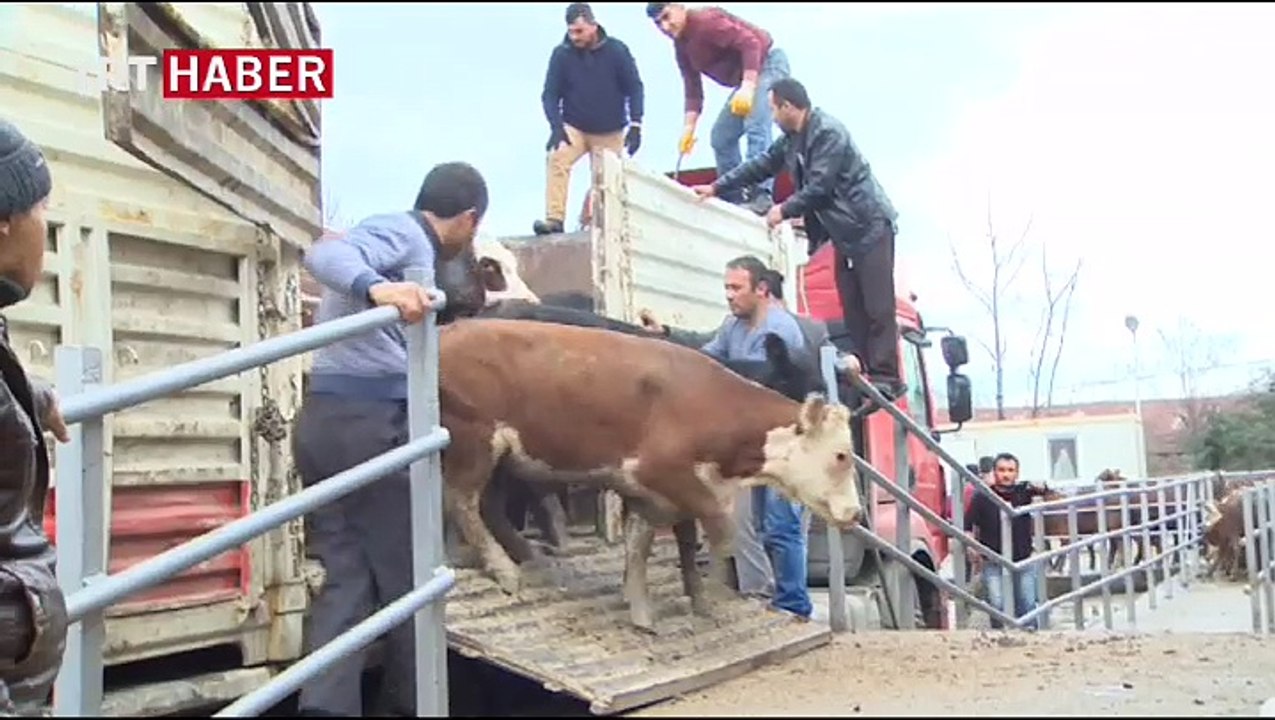 Gıda Tarım ve Hayvancılık Bakanlığından 'Genç çiftçi projesi'
