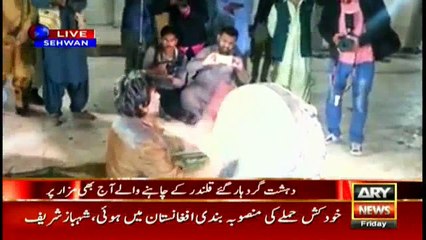 Pilgrims throng to shrine of Hazrat Lal Shahbaz Qalandar day after blast