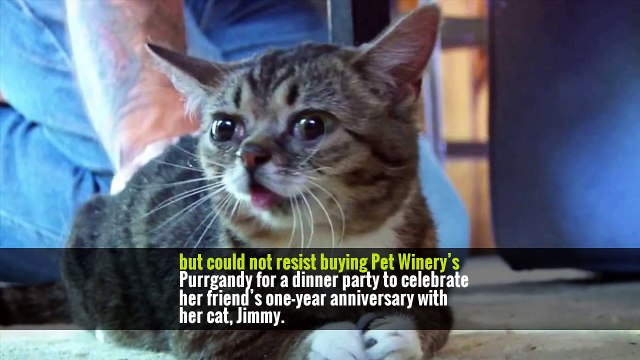 But based on a wine tasting I conducted at a local cat cafe-slash-adoption center, the products are primarily catnip for the owners: The shelter cats did not like wines from either company — only two of them indulged —