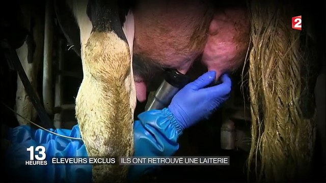 Éleveurs exclus par Lactalis : ils ont retrouvé une laiterie