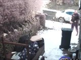 Thief stealing from yard greeted by Bull Mastiff