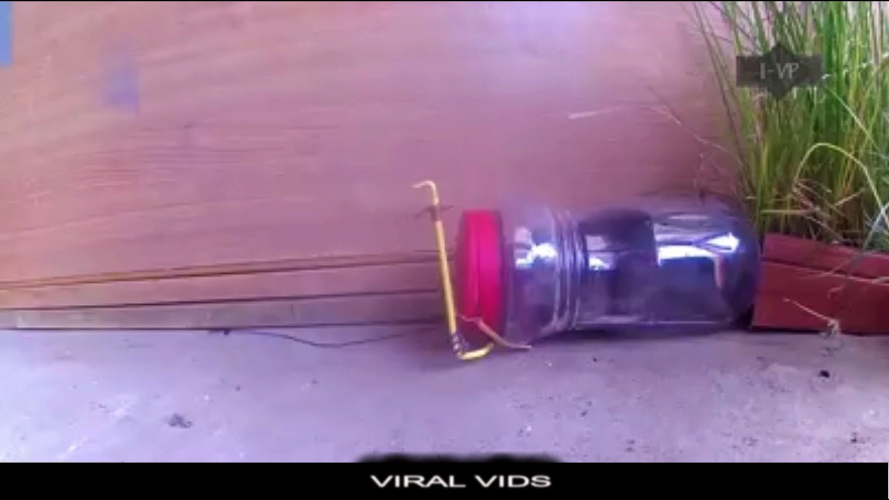 Mouse trap compilation 2017