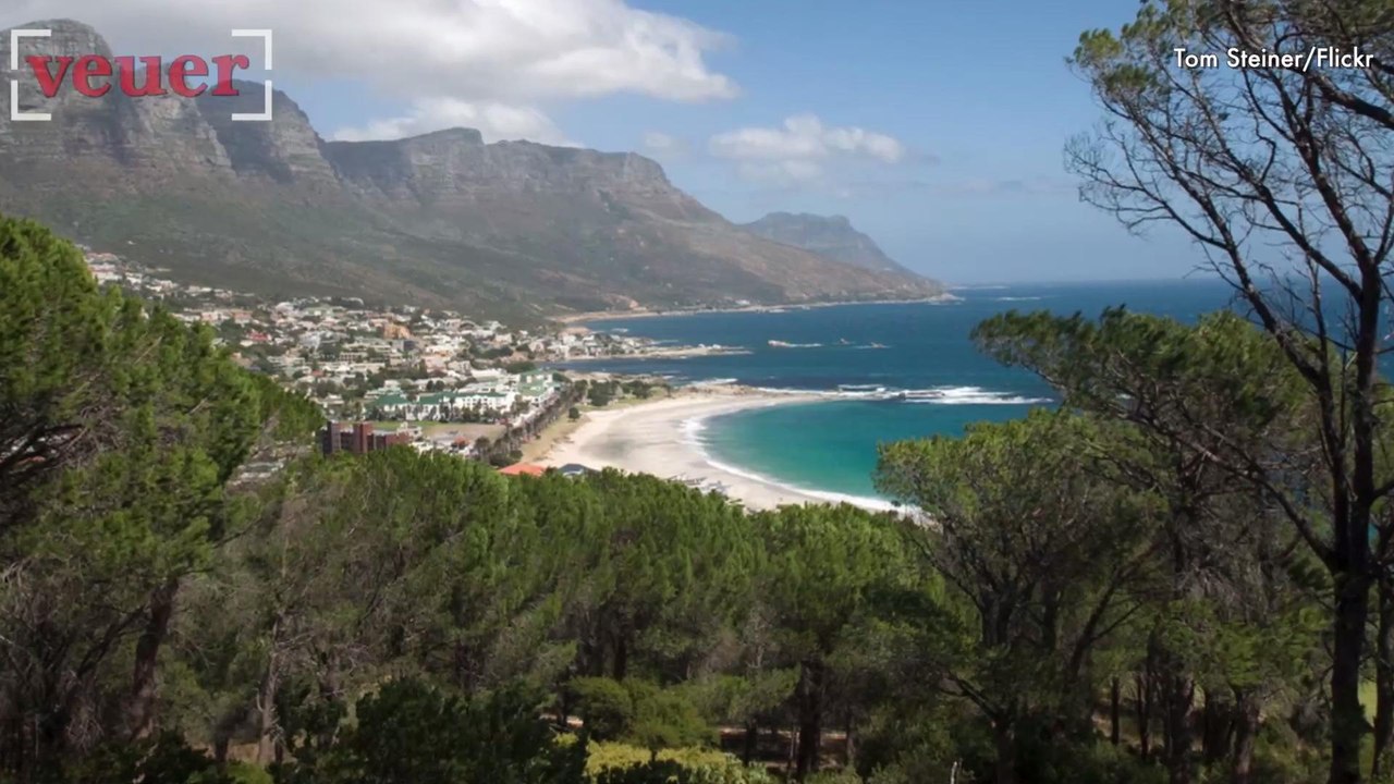 A 13-Year-Old Discovers A 120 Million Year Old Dino Tooth At The Beach