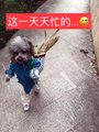 İki Ayak Üstünde Yürüyen Çinli Köpek