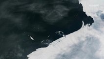 An Iceberg The Size of Manhattan Just Broke Off
