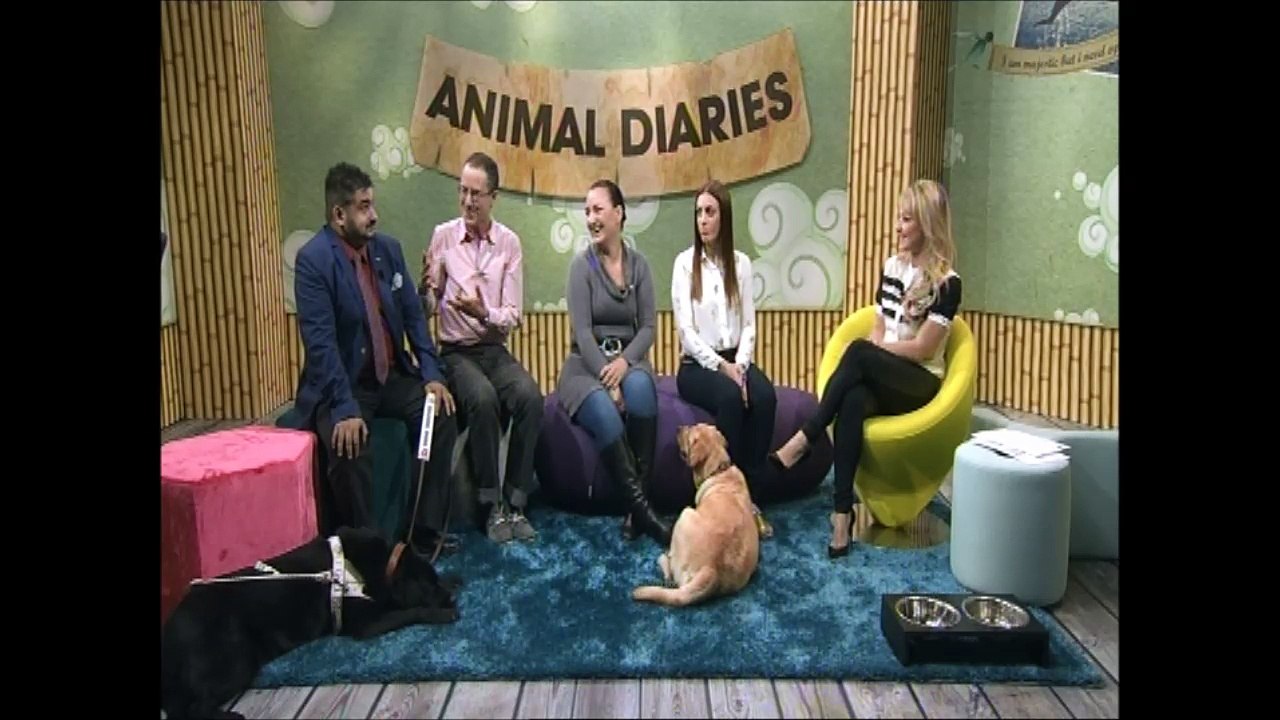 Animal Diaries S05E05