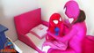 Pink Spidergirl & Spiderbaby vs BIG SPIDER Funny Superheroes - Spiderman Superhero Fun IRL - SHMIRL