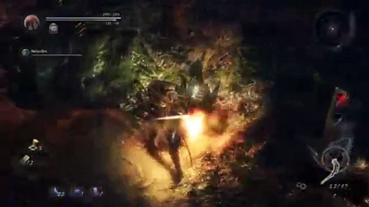 Play nioh (98)